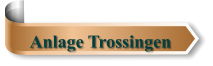 Anlage Trossingen