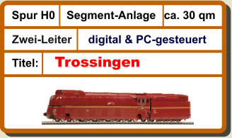 Segment-Anlage Spur H0 ca. 30 qm Titel: digital & PC-gesteuert   Zwei-Leiter  Trossingen